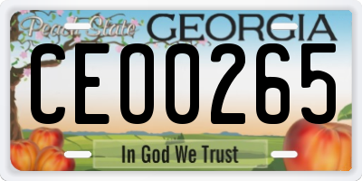 GA license plate CEO0265