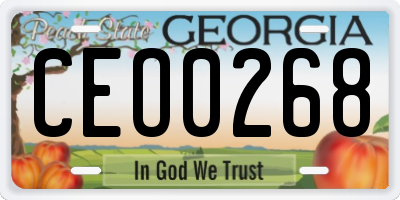 GA license plate CEO0268