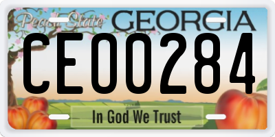 GA license plate CEO0284