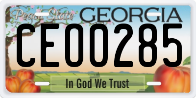 GA license plate CEO0285