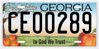 GA license plate CEO0289