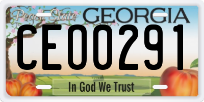 GA license plate CEO0291