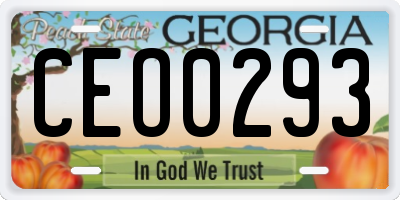 GA license plate CEO0293