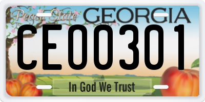 GA license plate CEO0301