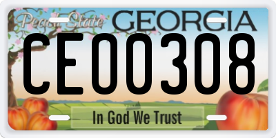 GA license plate CEO0308