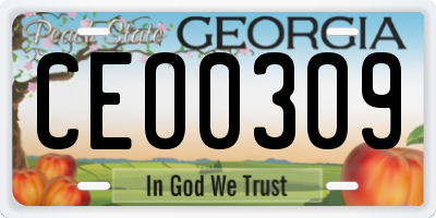 GA license plate CEO0309