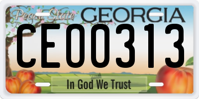 GA license plate CEO0313