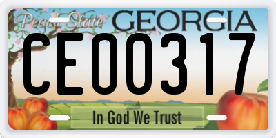 GA license plate CEO0317