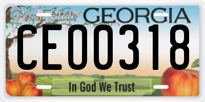 GA license plate CEO0318