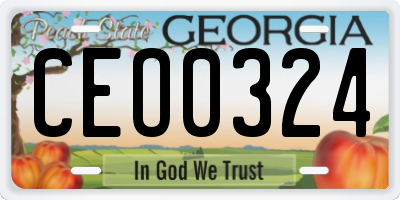 GA license plate CEO0324