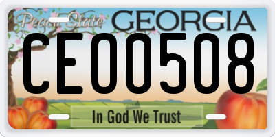 GA license plate CEO0508