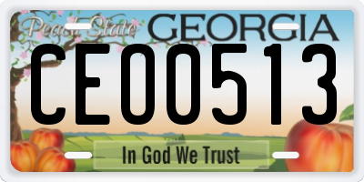 GA license plate CEO0513