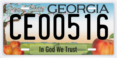 GA license plate CEO0516