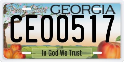 GA license plate CEO0517