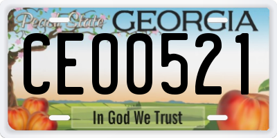 GA license plate CEO0521