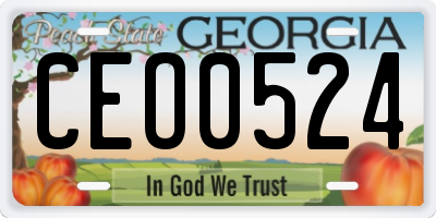 GA license plate CEO0524