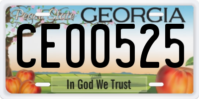 GA license plate CEO0525