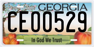 GA license plate CEO0529