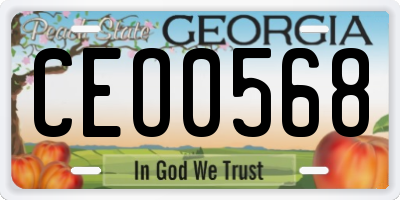 GA license plate CEO0568