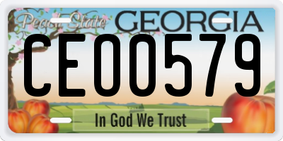 GA license plate CEO0579