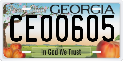 GA license plate CEO0605