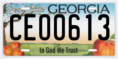 GA license plate CEO0613
