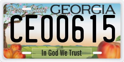 GA license plate CEO0615