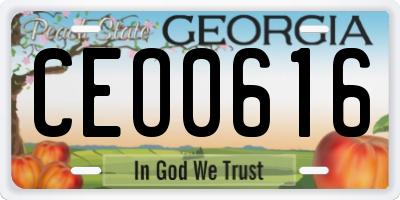 GA license plate CEO0616