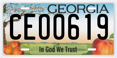 GA license plate CEO0619