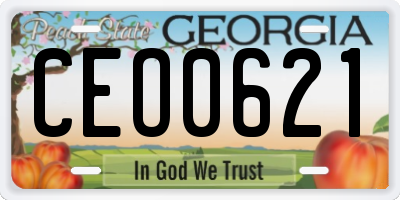 GA license plate CEO0621
