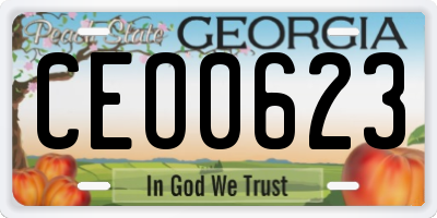 GA license plate CEO0623