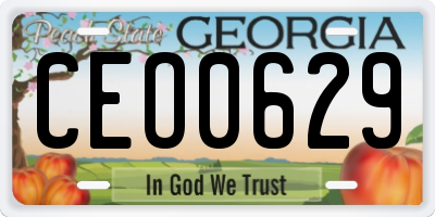 GA license plate CEO0629