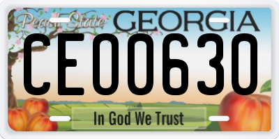 GA license plate CEO0630