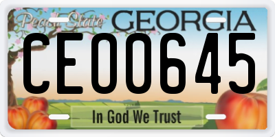 GA license plate CEO0645