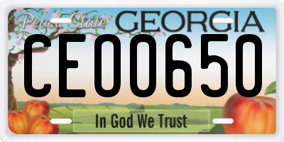 GA license plate CEO0650