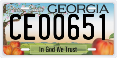 GA license plate CEO0651