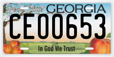 GA license plate CEO0653