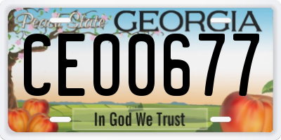 GA license plate CEO0677