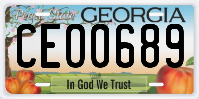 GA license plate CEO0689