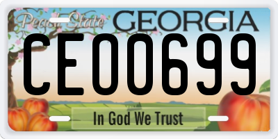 GA license plate CEO0699