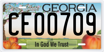GA license plate CEO0709