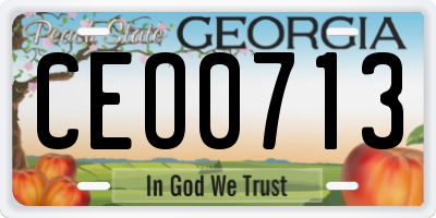 GA license plate CEO0713