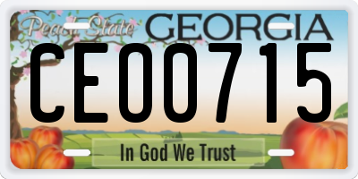 GA license plate CEO0715