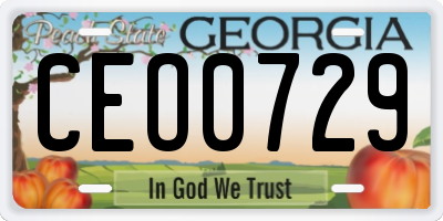 GA license plate CEO0729