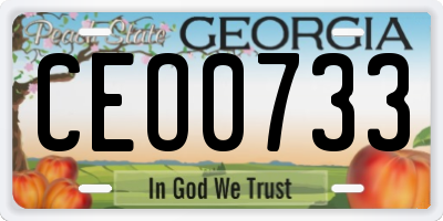 GA license plate CEO0733