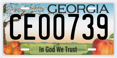 GA license plate CEO0739