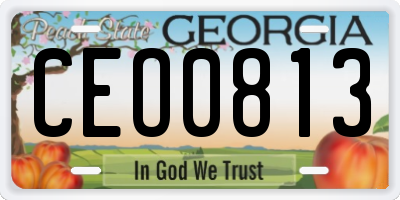 GA license plate CEO0813