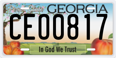 GA license plate CEO0817