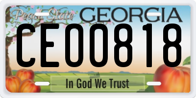 GA license plate CEO0818