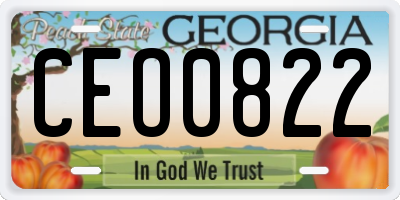 GA license plate CEO0822